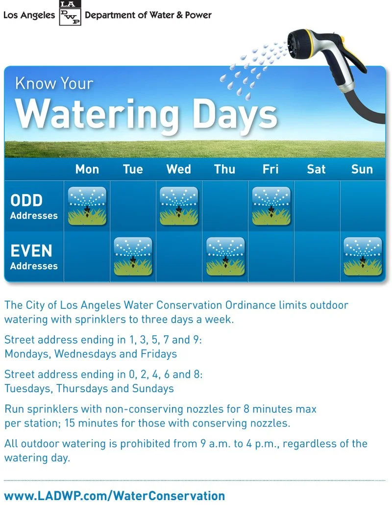 Watering-Days-Flyer-English