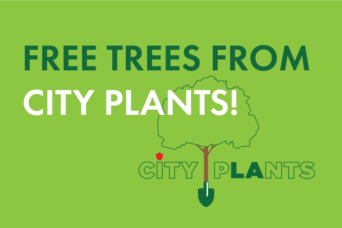 Get Free Trees from City Plants + Read Their Urban Forestry Report