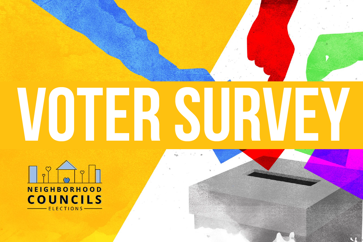 Voter Survey for NC Elections 2019