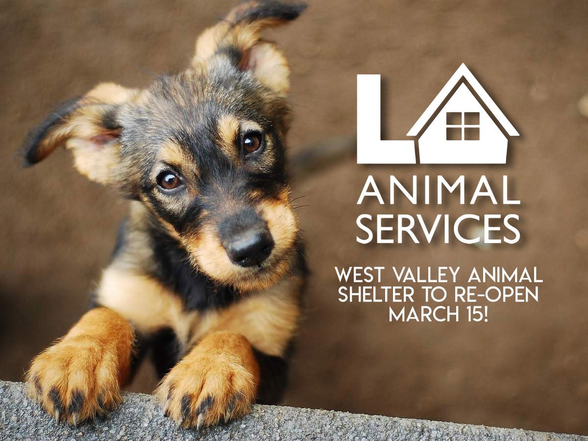 West Valley Animal Shelter to Reopen Next Week, City Announces - Canoga  Park Neighborhood Council