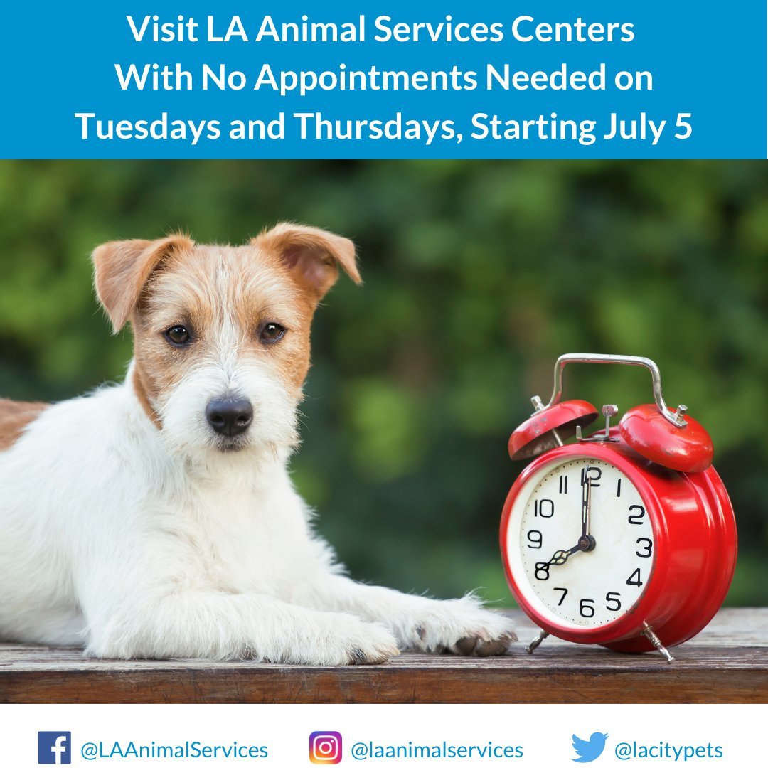 Updated Hours at LA Animal Shelters